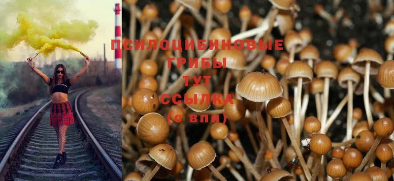 hydra ссылка  darknet какой сайт  Псилоцибиновые грибы MAGIC MUSHROOMS  Циолковский 